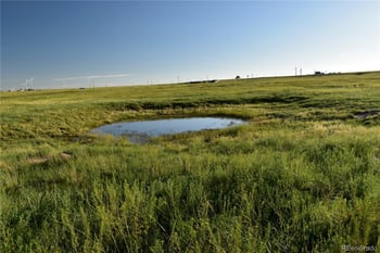 9545 Yoder Rd, Calhan, CO 80808