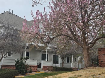 4003 Carson St #B, Aurora, CO 80014