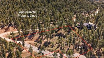 6875 Lynx Lair Rd, Evergreen, CO 80439