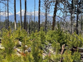 Lot 1154 Bluhdorn Pl, Fort Garland, CO 81133
