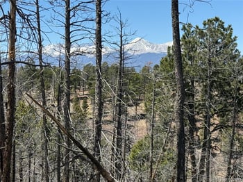 Lot 1154 Bluhdorn Pl, Fort Garland, CO 81133