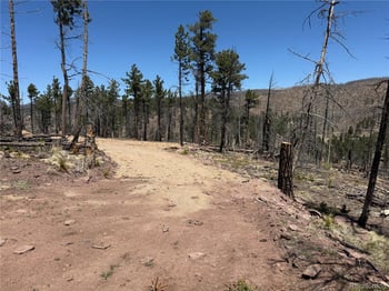 Lot 1154 Bluhdorn Pl, Fort Garland, CO 81133