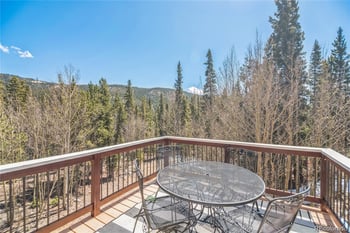 496 Quartzville Rd, Alma, CO 80420
