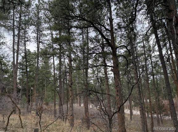 4885 Red Rock Dr, Larkspur, CO 80118