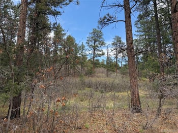 4885 Red Rock Dr, Larkspur, CO 80118