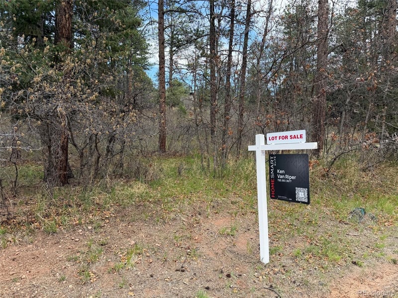 4885 Red Rock Dr, Larkspur, CO 80118
