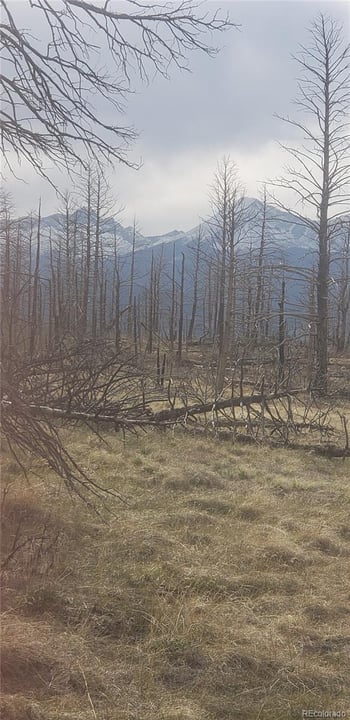 Lot 321 Hagin Ln, Fort Garland, CO 81133