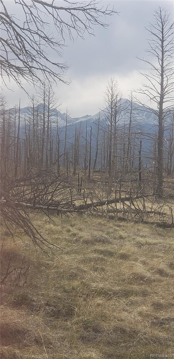 Lot 321 Hagin Ln, Fort Garland, CO 81133