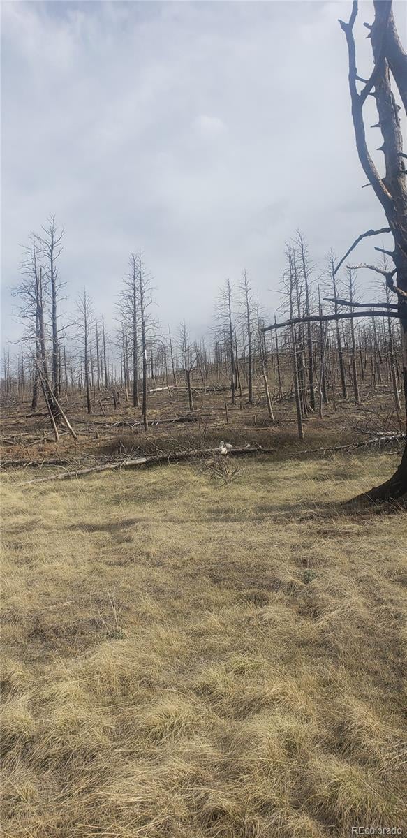 Lot 321 Hagin Ln, Fort Garland, CO 81133