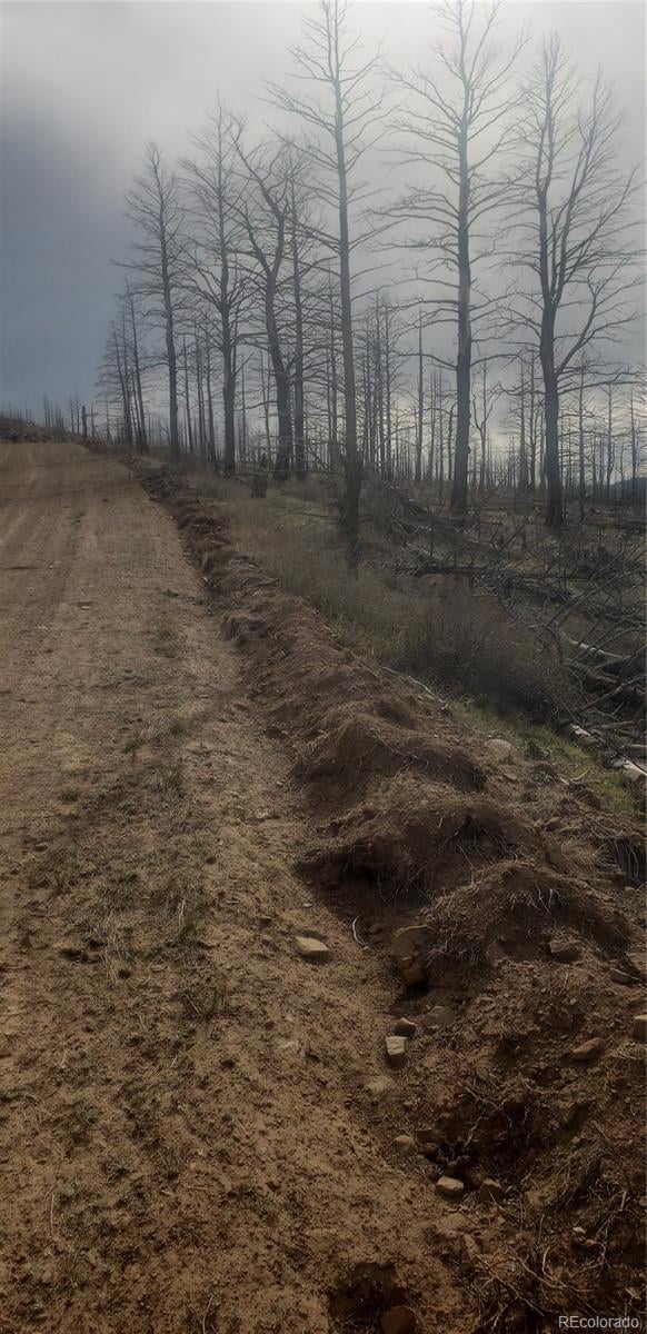 Lot 321 Hagin Ln, Fort Garland, CO 81133