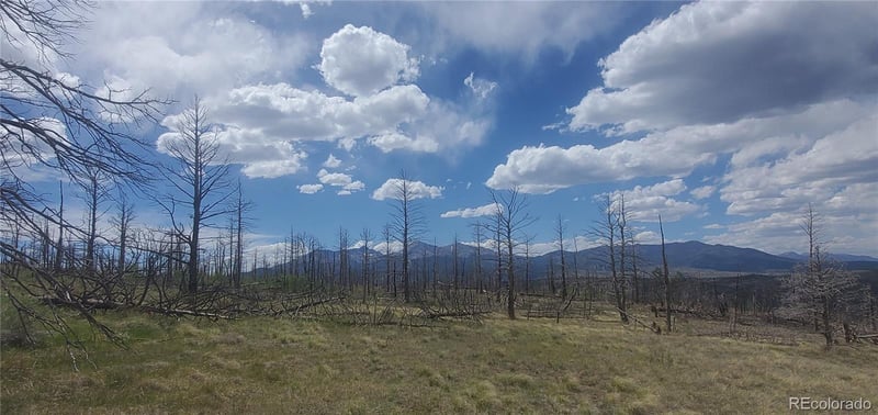 Lot 321 Hagin Ln Lot 321, Fort Garland, CO 81133