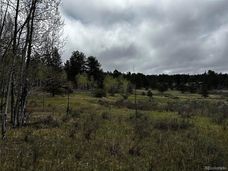 210 Crescent Dr, Florissant, CO 80816