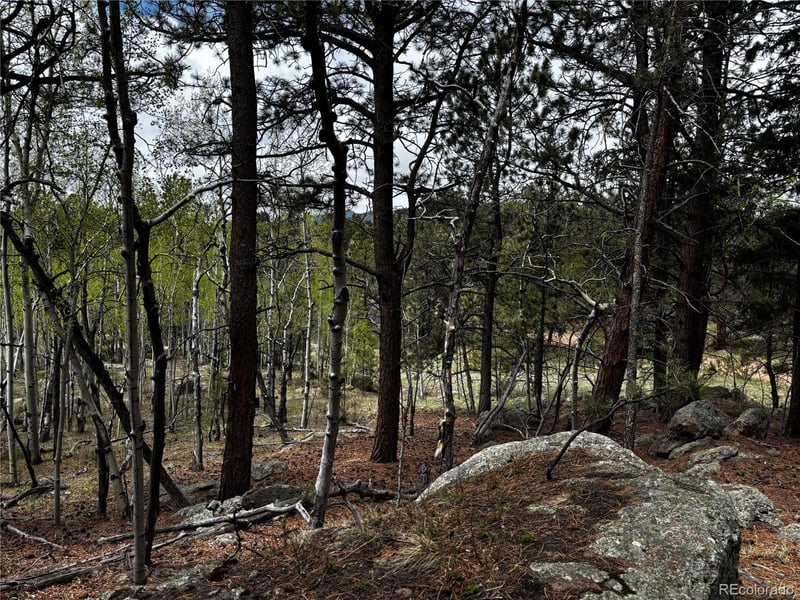 210 Crescent Dr, Florissant, CO 80816