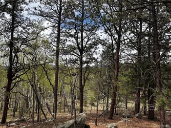 210 Crescent Dr, Florissant, CO 80816