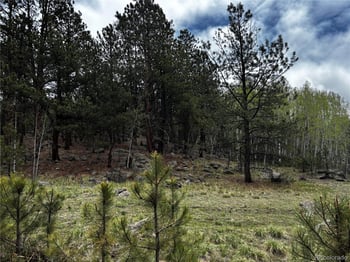 210 Crescent Dr, Florissant, CO 80816
