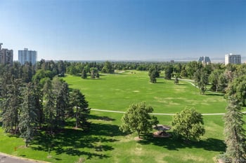 1085 N Lafayette St #703, Denver, CO 80218