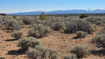 Lot 18 Green Tree Ct, San Luis, CO 81152