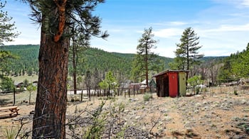 28368 Cedar Ave, Pine, CO 80470