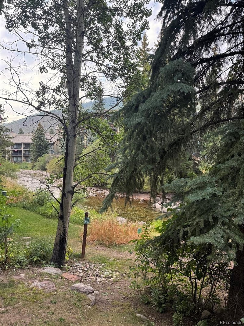 123 Willow Pl #1, Vail, CO 81657