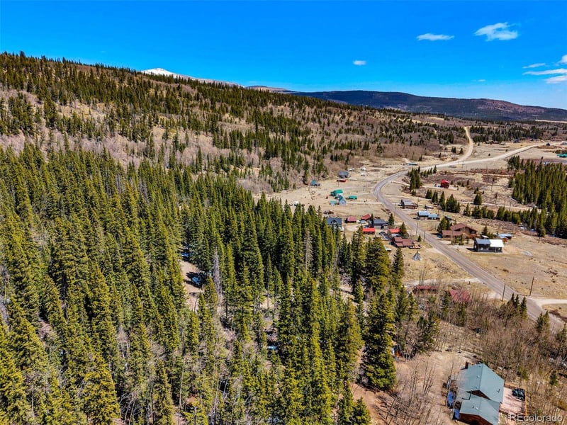 270 Co Rd 667, Fairplay, CO 80440
