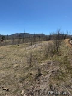 1648 Cary Ln, Fort Garland, CO 81133