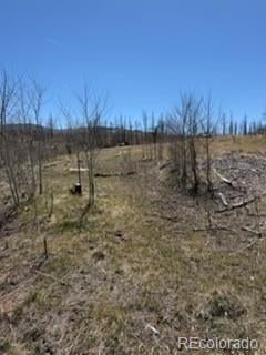 1648 Cary Ln, Fort Garland, CO 81133