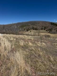 1648 Cary Ln, Fort Garland, CO 81133
