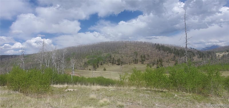 1648 Cary Ln Lot 1648, Fort Garland, CO 81133