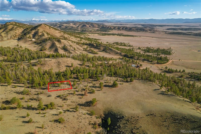 Willow St, Hartsel, CO 80449