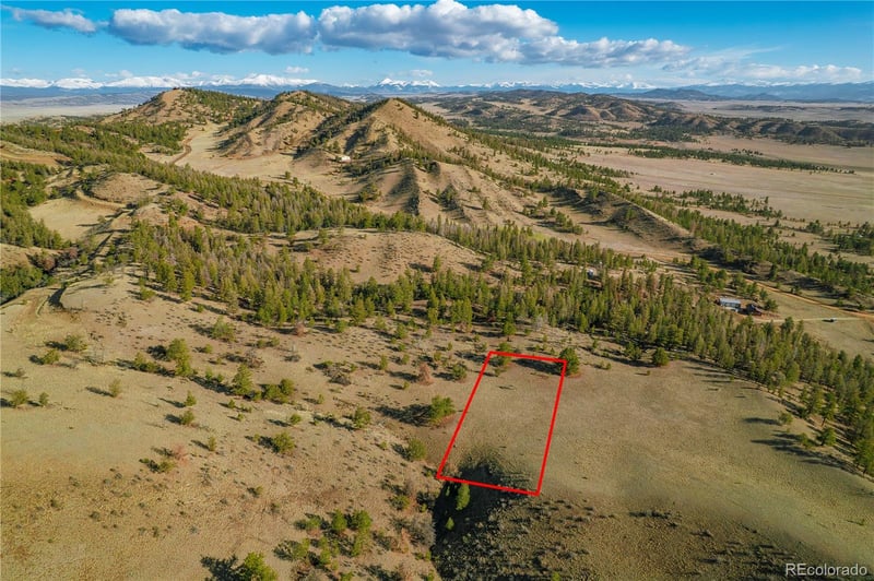 Willow St, Hartsel, CO 80449
