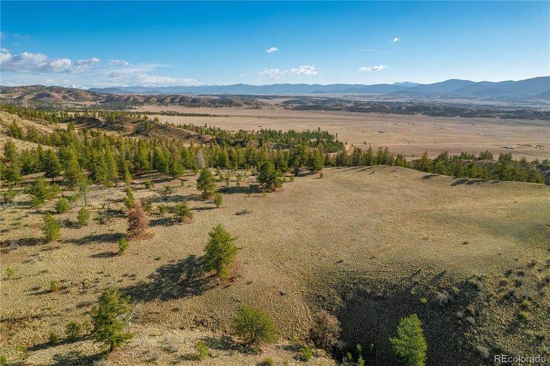 Willow St, Hartsel, CO 80449