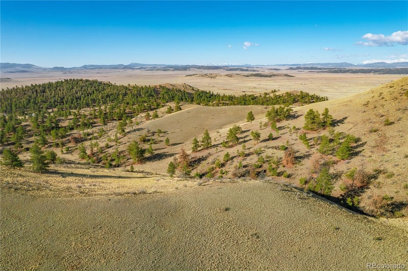 Willow St, Hartsel, CO 80449