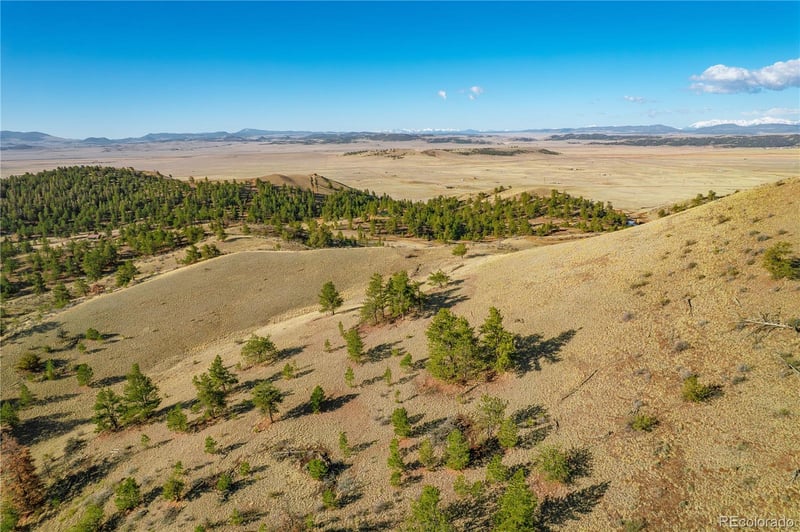 Willow St, Hartsel, CO 80449
