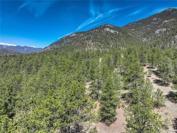 000 Hayden Ridge Rd, Evergreen, CO 80439