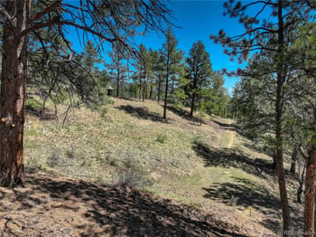 000 Hayden Ridge Rd, Evergreen, CO 80439
