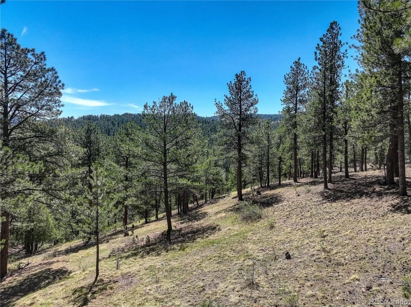 000 Hayden Ridge Rd, Evergreen, CO 80439