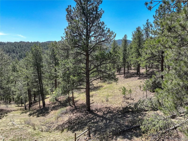 000 Hayden Ridge Rd, Evergreen, CO 80439