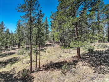 000 Hayden Ridge Rd, Evergreen, CO 80439