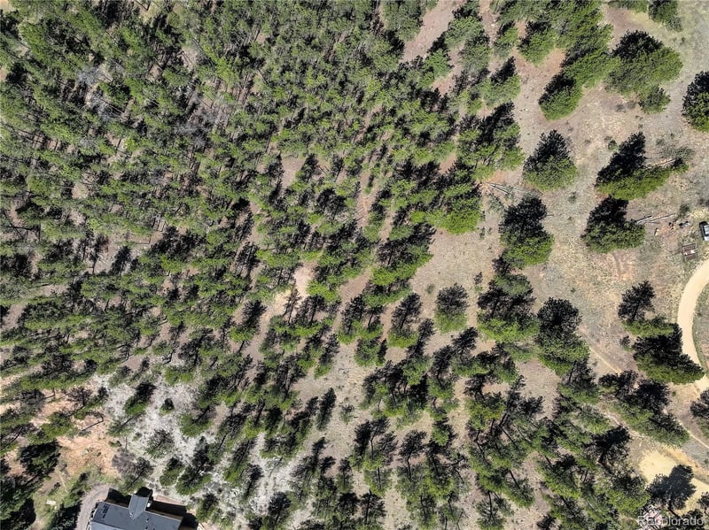 000 Hayden Ridge Rd, Evergreen, CO 80439