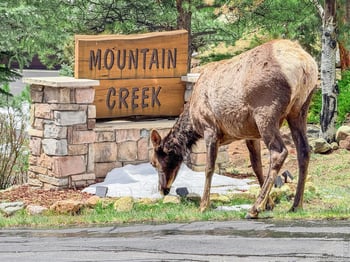 262 Steamer Ct, Estes Park, CO 80517