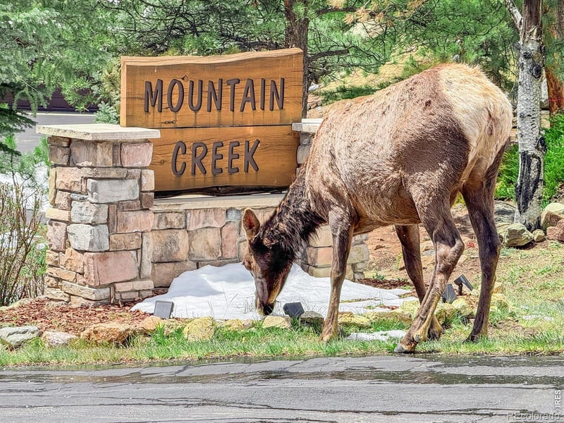 262 Steamer Ct, Estes Park, CO 80517