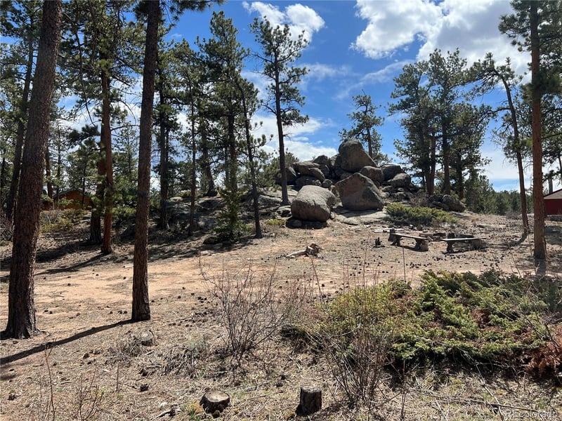 90 Letitia Dr, Red Feather Lakes, CO 80545