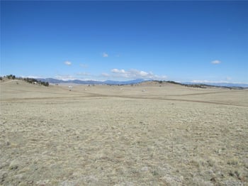 1454 Chicha Rd, Hartsel, CO 80449