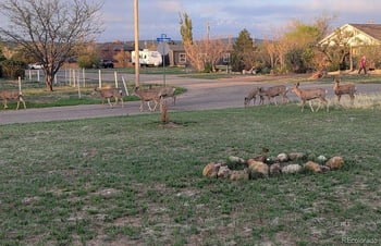 816 Montana St, Walsenburg, CO 81089