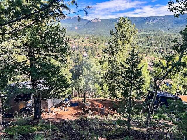 272 Wise Rd, Bailey, CO 80421