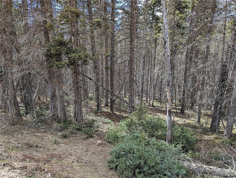 2767-2769 Purnell Ln Lot 2767, 2768, 2769, Fort Garland, CO 81133
