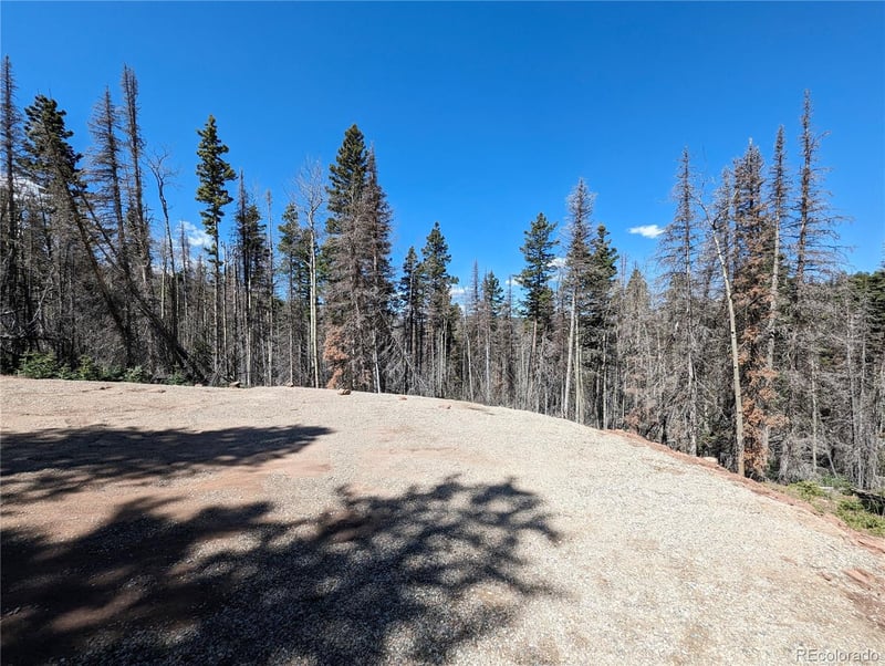 2767-2769 Purnell Ln Lot 2767, 2768, 2769, Fort Garland, CO 81133