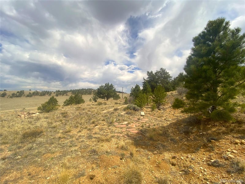 381 Red Cloud Rd, Hartsel, CO 80449