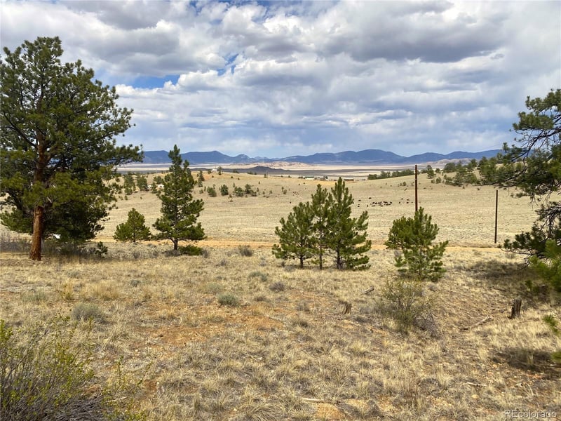 381 Red Cloud Rd, Hartsel, CO 80449