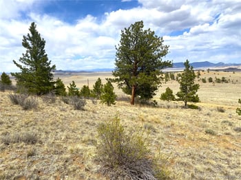 381 Red Cloud Rd, Hartsel, CO 80449